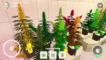 Image 3 for Weed Shop 2