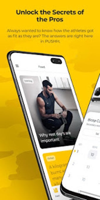 Image 3 for PUSHH - Home and Gym Work…