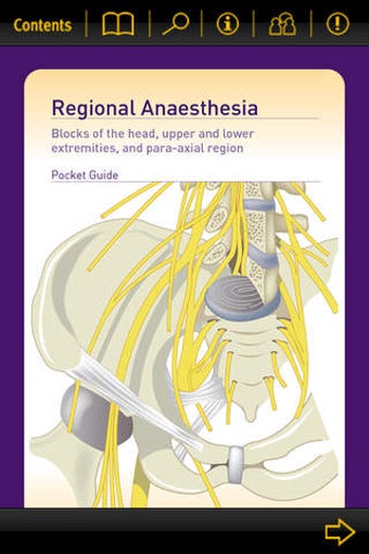 Image 0 for Nerve Blocks
