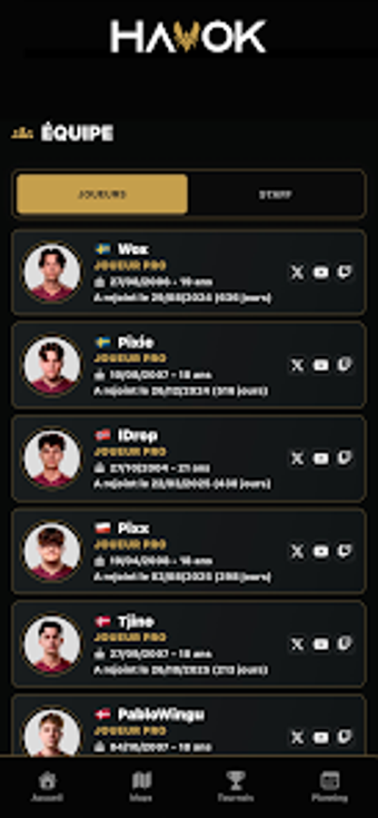 Imagen 0 para HavoK by Vitality