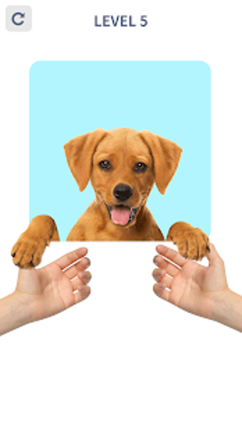 Image 3 for Brain Puzzle: 99 Games