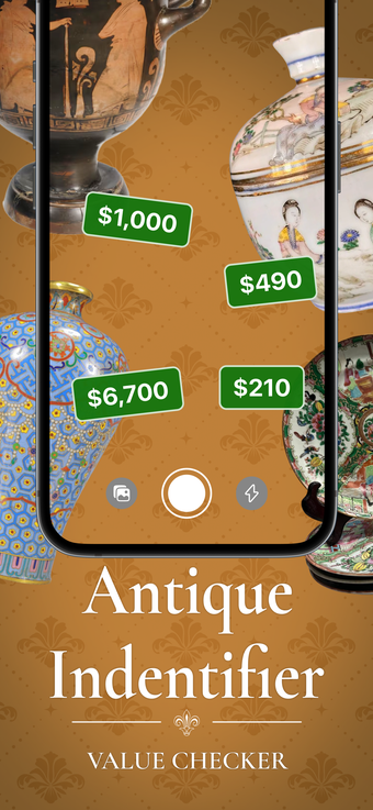 Imagen 0 para Antique Value Checker