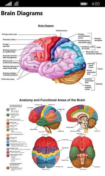 Imagen 0 para Human Anatomy 2017 for Wi…