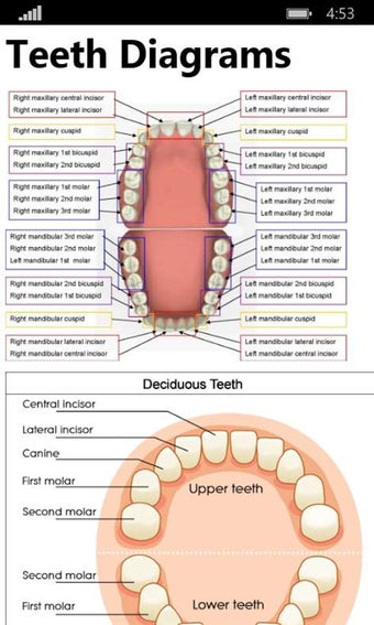 Imagen 1 para Human Anatomy 2017 for Wi…