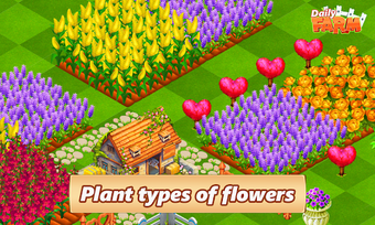 Imagen 0 para Daily Farm