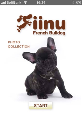Image 0 for Look!FrenchBulldog