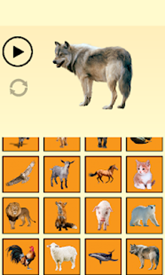 Image 0 for Animal Sounds