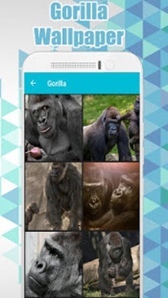 Image 3 for Gorilla Wallpaper HD