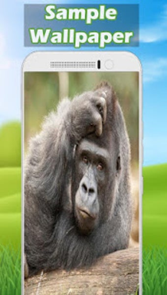 Image 0 for Gorilla Wallpaper HD