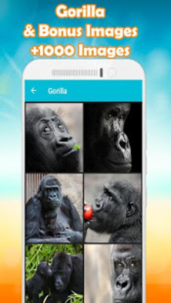 Image 2 for Gorilla Wallpaper HD