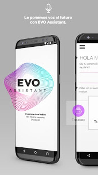 Imagen 2 para EVO Banco mvil