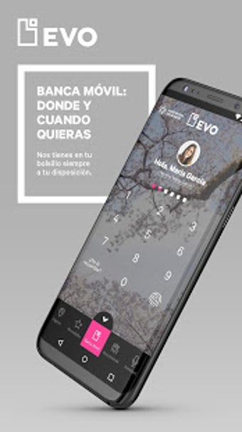 Imagen 3 para EVO Banco mvil