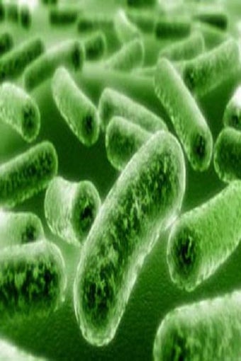 Imagen 2 para Microbiology