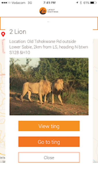 Image 3 for Latest Kruger Sightings