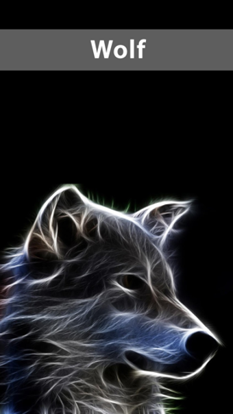 Image 0 for Amazing Wolf Wallpapers