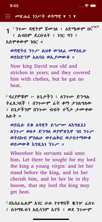 Image 0 for Geez Amharic Bible