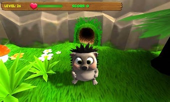 Image 1 for Hedgehog goes home