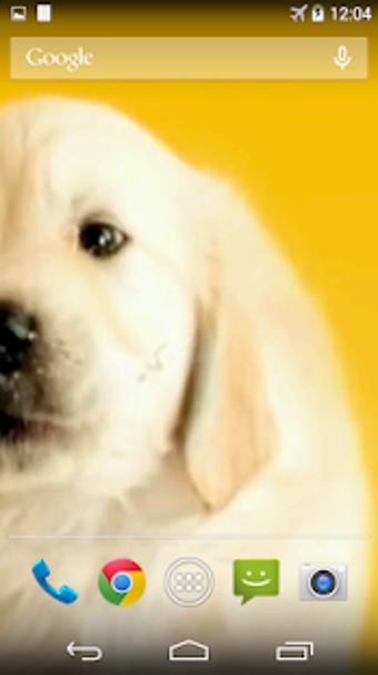 Image 3 for Puppy Licks Screen