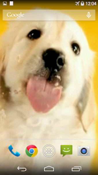 Image 2 for Puppy Licks Screen