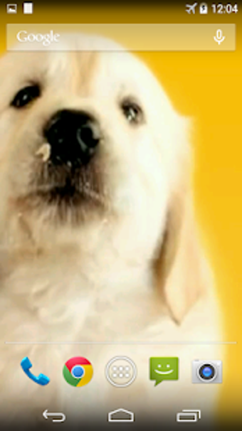 Image 0 for Puppy Licks Screen