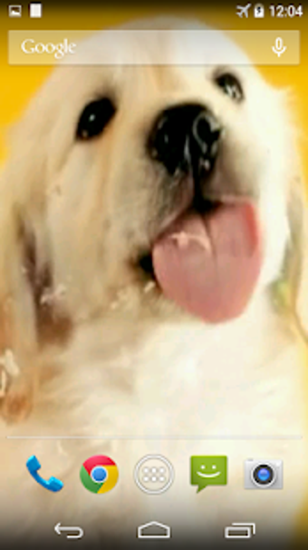 Image 1 for Puppy Licks Screen