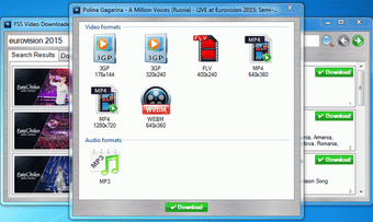 Image 1 for FSS Video Downloader