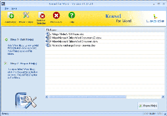 Imagen 0 para Kernel Word - Repair Corr…