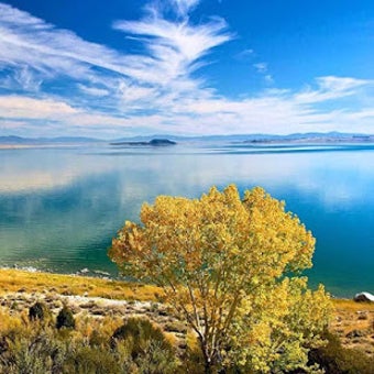 Imagen 3 para Jigsaw Puzzles Free
