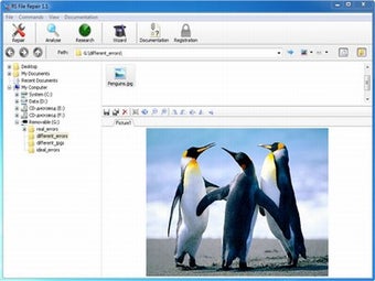 Image 0 for RS File Repair