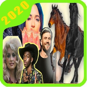 Imagen 1 para Music Old Town Road