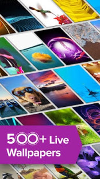 Imagen 3 para ThemeX - 4K Ultra HD Live…