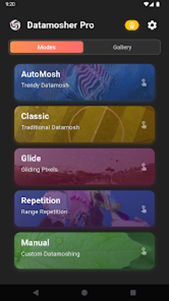 Image 0 for Datamosher Pro