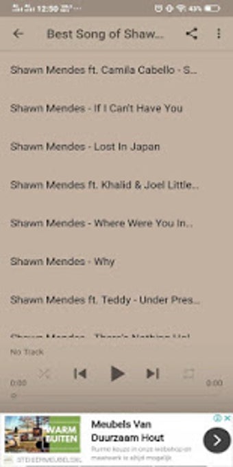 Image 3 for Shawn Mendes Best Songs