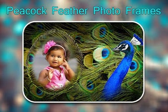 Image 0 for Peacock Feather Photo Fra…