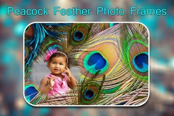 Image 1 for Peacock Feather Photo Fra…