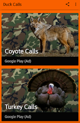 Image 1 for Duck Hunting Calls
