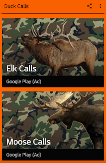 Image 3 for Duck Hunting Calls
