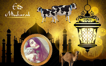 Image 0 for Bakra eid ul adha photo f…