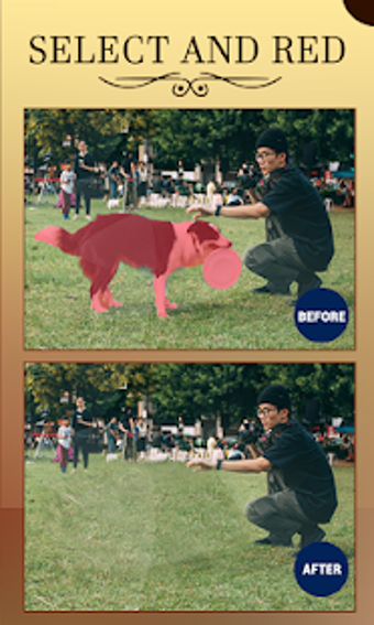 Imagen 1 para Remove object from photo-…
