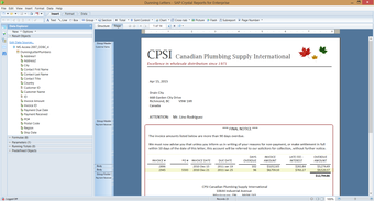 Imagen 2 para SAP Crystal Server 2020