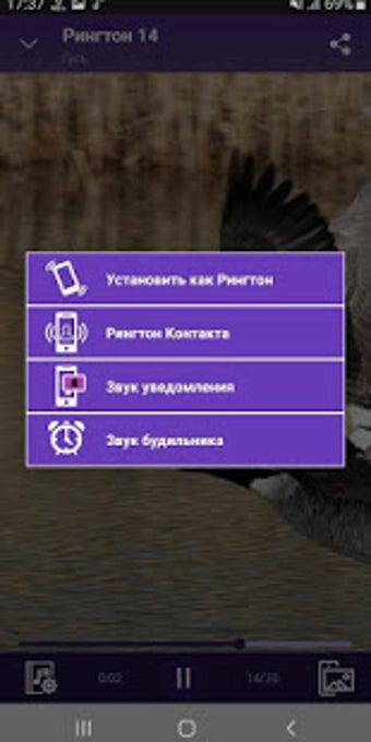 Image 3 for Goose - RINGTONES and WAL…