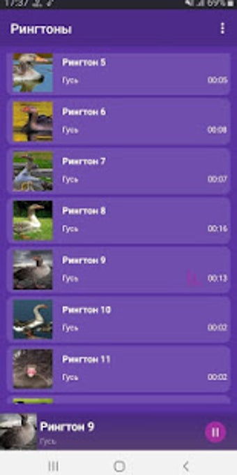 Image 0 for Goose - RINGTONES and WAL…