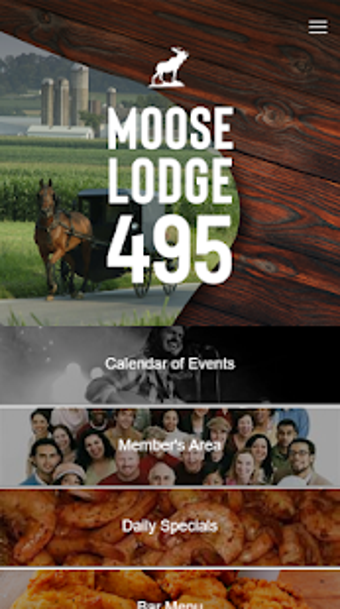Image 0 for Moose 495