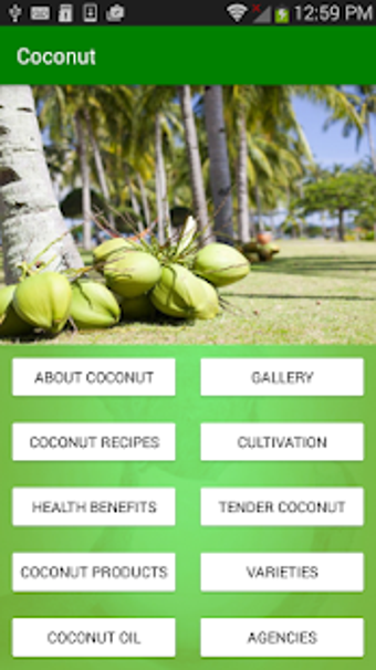 Imagen 1 para Coconut