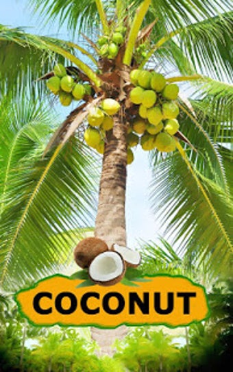Imagen 3 para Coconut