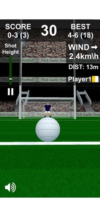 Imagen 3 para Flick Gaelic Football