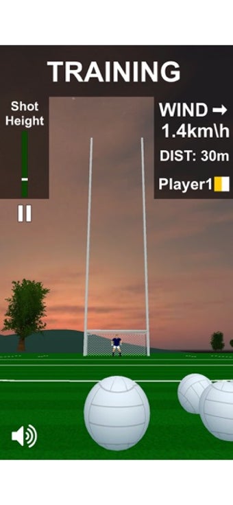 Imagen 1 para Flick Gaelic Football
