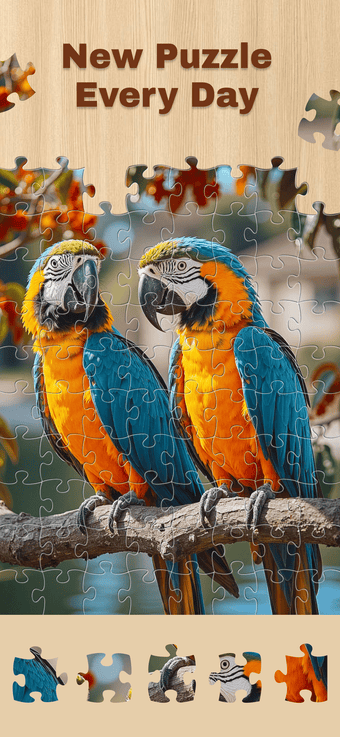 Imagen 0 para Jigsaw Classic: Magic Gam…