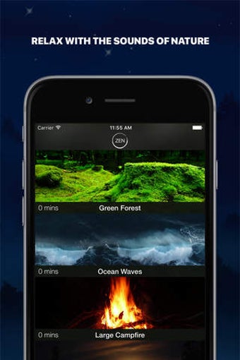 Image 0 for Zensong - Nature Melodies…