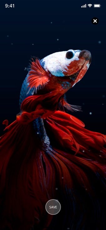 Imagen 3 para Live Wallpapers HD to iPh…